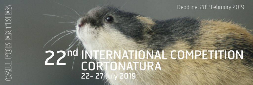 Call for entries 22ºGPFF